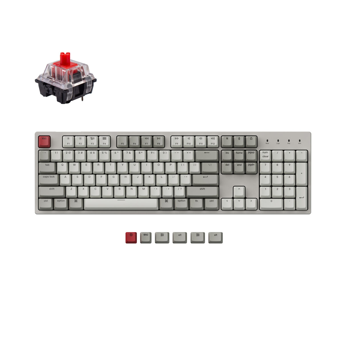 Keychron C2 Kabelgebundene mechanische Tastatur (US ANSI Layout)
