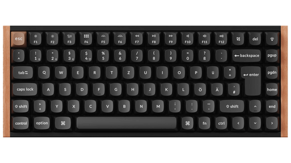 Keychron C2 Wired Mechanical Keyboard (US ANSI Layout) – Keychron