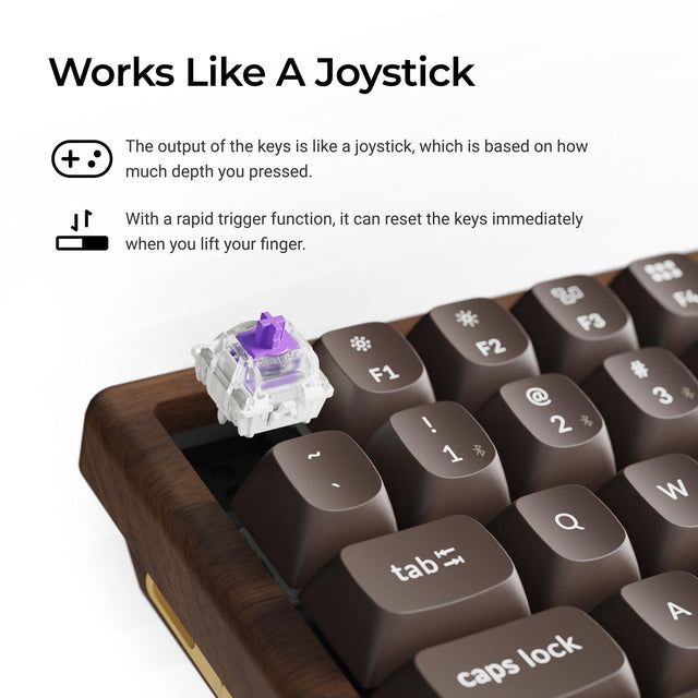 Keychron K2 HE Wireless Magnetic Switch Custom Keyboard - All-Wood Special Edition(US ANSI Layout)