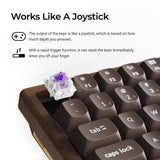 Keychron K2 HE Wireless Magnetic Switch Custom Keyboard - All-Wood Special Edition(US ANSI Layout)